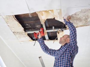 Decorative Ceilings and Walls all Repairs and Maintenance in Gyprock and Plasterboard